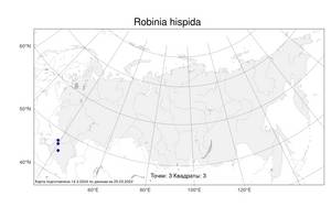 Robinia hispida L., Atlas of the Russian Flora (FLORUS) (Russia)