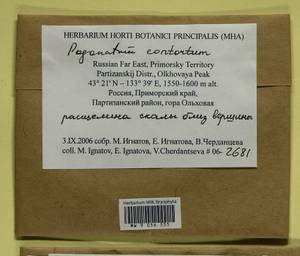 Pogonatum contortum (Menzies ex Brid.) Lesq., Bryophytes, Bryophytes - Russian Far East (excl. Chukotka & Kamchatka) (B20) (Russia)