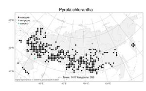 Pyrola chlorantha Sw., Atlas of the Russian Flora (FLORUS) (Russia)