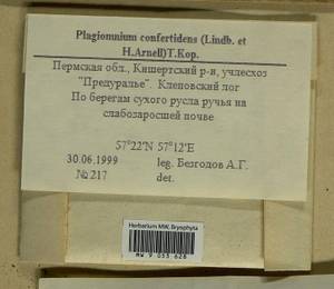 Plagiomnium confertidens (Lindb. & Arnell) T.J. Kop., Bryophytes, Bryophytes - Permsky Krai, Udmurt Republic, Sverdlovsk & Kirov Oblasts (B8) (Russia)