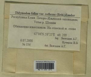 Geheebia ferruginea (Schimp. ex Besch.) R.H. Zander, Bryophytes, Bryophytes - European North East (B7) (Russia)