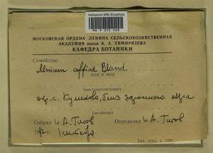 Plagiomnium affine (Blandow ex Funck) T.J. Kop., Bryophytes, Bryophytes - Moscow City & Moscow Oblast (B6a) (Russia)