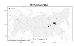Thymus karavaevii Doronkin, Atlas of the Russian Flora (FLORUS) (Russia)