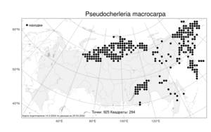 Pseudocherleria macrocarpa (Pursh) Dillenb. & Kadereit, Atlas of the Russian Flora (FLORUS) (Russia)