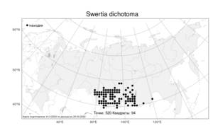 Swertia dichotoma L., Atlas of the Russian Flora (FLORUS) (Russia)