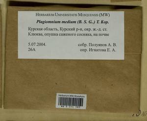 Plagiomnium medium (Bruch & Schimp.) T.J. Kop., Bryophytes, Bryophytes - Central forest-and-steppe region (B10) (Russia)