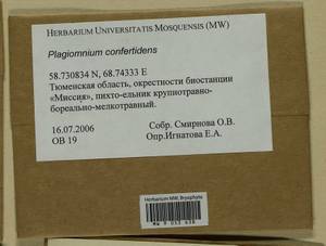 Plagiomnium confertidens (Lindb. & Arnell) T.J. Kop., Bryophytes, Bryophytes - Western Siberia (including Altai) (B15) (Russia)
