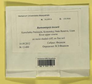 Bartramiopsis lescurii (James) Kindb., Bryophytes, Bryophytes - Chukotka & Kamchatka (B21) (Russia)