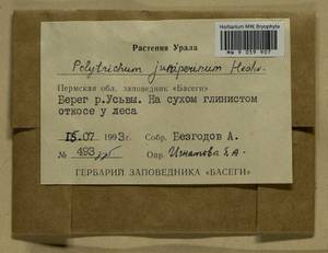 Polytrichum juniperinum Hedw., Bryophytes, Bryophytes - Permsky Krai, Udmurt Republic, Sverdlovsk & Kirov Oblasts (B8) (Russia)