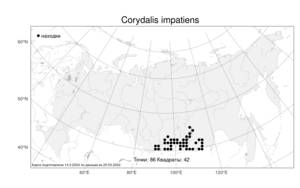 Corydalis impatiens (Pall.) Fisch. ex DC., Atlas of the Russian Flora (FLORUS) (Russia)