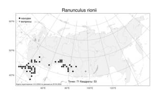 Ranunculus rionii Lagger, Atlas of the Russian Flora (FLORUS) (Russia)