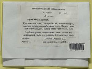 Ptychostomum kunzei (Hornsch.) J.R. Spence, Bryophytes, Bryophytes - Krasnoyarsk Krai, Tyva & Khakassia (B17) (Russia)