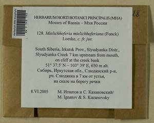 Mielichhoferia mielichhoferiana (Funck) Loeske, Bryophytes, Bryophytes - Baikal & Transbaikal regions (B18) (Russia)
