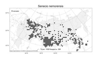 Senecio nemorensis L., Atlas of the Russian Flora (FLORUS) (Russia)