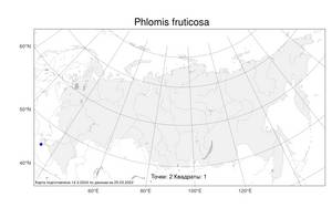 Phlomis fruticosa L., Atlas of the Russian Flora (FLORUS) (Russia)