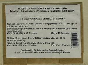 Ptychostomum weigelii (Biehler) J.R. Spence, Bryophytes, Bryophytes - Karelia, Leningrad & Murmansk Oblasts (B4) (Russia)