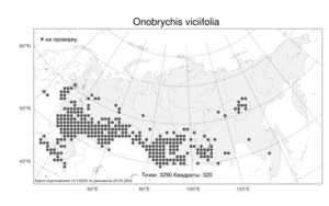 Onobrychis viciifolia Scop., Atlas of the Russian Flora (FLORUS) (Russia)