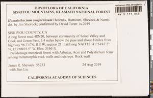 Homalothecium californicum Hedenäs, Huttunen, Shevock & D.H. Norris, Bryophytes, Bryophytes - America (BAm) (United States)