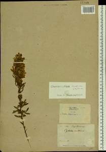 Chamaecytisus austriacus (L.) Link, Eastern Europe, North Ukrainian region (E11) (Ukraine)