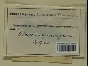 Homalothecium lutescens (Hedw.) H. Rob., Bryophytes, Bryophytes (no precise locality) (B0)