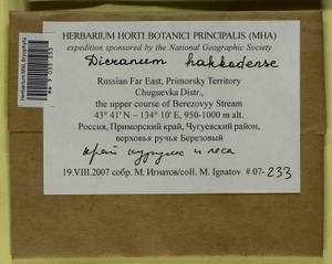 Dicranum viride var. hakkodense (Cardot) Takaki, Bryophytes, Bryophytes - Russian Far East (excl. Chukotka & Kamchatka) (B20) (Russia)