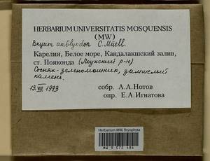 Ptychostomum inclinatum (Sw. ex Brid.) J.R. Spence, Bryophytes, Bryophytes - Karelia, Leningrad & Murmansk Oblasts (B4) (Russia)