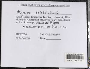 Ptychostomum schleicheri (DC.) J.R. Spence, Bryophytes, Bryophytes - Russian Far East (excl. Chukotka & Kamchatka) (B20) (Russia)