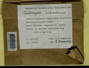 Calliergon richardsonii (Mitt.) Kindb. ex G. Roth, Bryophytes, Bryophytes - North Caucasus & Ciscaucasia (B12) (Russia)