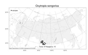 Oxytropis songorica (Pall.) DC., Atlas of the Russian Flora (FLORUS) (Russia)