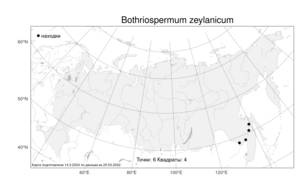 Bothriospermum zeylanicum (J. Jacq.) Druce, Atlas of the Russian Flora (FLORUS) (Russia)