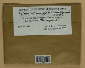 Hylocomiastrum pyrenaicum (Spruce) M. Fleisch. ex Broth., Bryophytes, Bryophytes - Middle Asia & Kazakhstan (B16) (Kazakhstan)