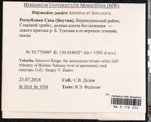 Husnotiella rufidula (Müll. Hal.) J.A. Jiménez & M.J. Cano, Bryophytes, Bryophytes - Yakutia (B19) (Russia)