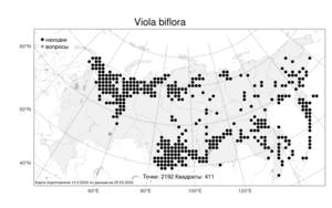 Viola biflora L., Atlas of the Russian Flora (FLORUS) (Russia)