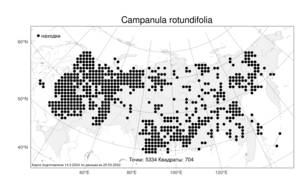 Campanula rotundifolia L., Atlas of the Russian Flora (FLORUS) (Russia)