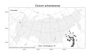 Cirsium schantarense Trautv. & C. A. Mey., Atlas of the Russian Flora (FLORUS) (Russia)
