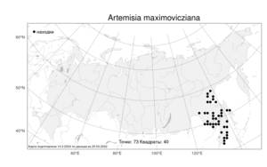 Artemisia maximovicziana (Schum.) Krasch. ex Poljakov, Atlas of the Russian Flora (FLORUS) (Russia)