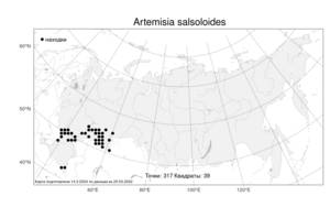 Artemisia salsoloides Willd., Atlas of the Russian Flora (FLORUS) (Russia)