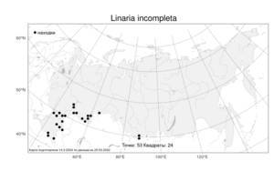 Linaria incompleta Kuprian., Atlas of the Russian Flora (FLORUS) (Russia)