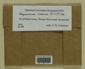 Plagiomnium medium (Bruch & Schimp.) T.J. Kop., Bryophytes, Bryophytes - European North East (B7) (Russia)