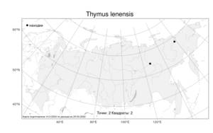 Thymus lenensis Vasjukov, Atlas of the Russian Flora (FLORUS) (Russia)