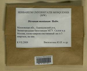 Orthodicranum montanum (Hedw.) Loeske, Bryophytes, Bryophytes - Moscow City & Moscow Oblast (B6a) (Russia)