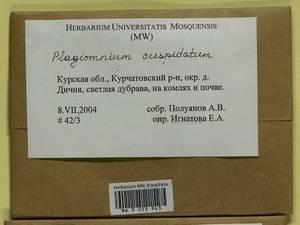 Plagiomnium cuspidatum (Hedw.) T.J. Kop., Bryophytes, Bryophytes - Central forest-and-steppe region (B10) (Russia)