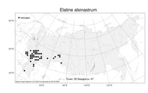 Elatine alsinastrum L., Atlas of the Russian Flora (FLORUS) (Russia)