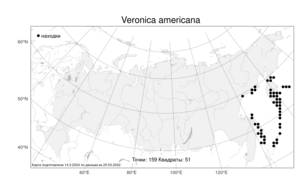 Veronica americana (Raf.) Schwein. ex Benth., Atlas of the Russian Flora (FLORUS) (Russia)