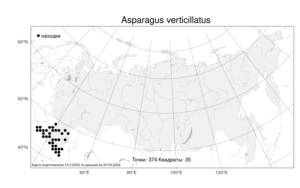 Asparagus verticillatus L., Atlas of the Russian Flora (FLORUS) (Russia)