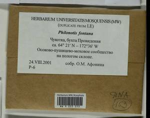 Philonotis fontana (Hedw.) Brid., Bryophytes, Bryophytes - Chukotka & Kamchatka (B21) (Russia)