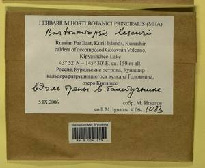 Bartramiopsis lescurii (James) Kindb., Bryophytes, Bryophytes - Russian Far East (excl. Chukotka & Kamchatka) (B20) (Russia)