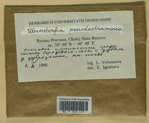 Warnstorfia pseudostraminea (Müll. Hal.) Tuom. & T.J. Kop., Bryophytes, Bryophytes - Middle Russia (B6) (Russia)