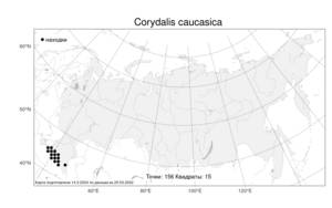 Corydalis caucasica DC., Atlas of the Russian Flora (FLORUS) (Russia)