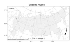 Sibbaldia miyabei (Makino) Paule & Soják, Atlas of the Russian Flora (FLORUS) (Russia)